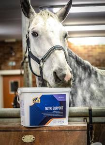 Bilde av CAVALOR NUTRI SUPPORT 5KG